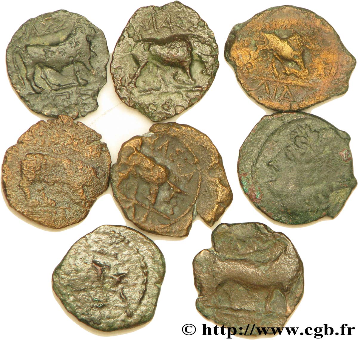MASSALIA - MARSEILLE Lot de 8 petits bronzes au taureau (hémiobole ?) lot
