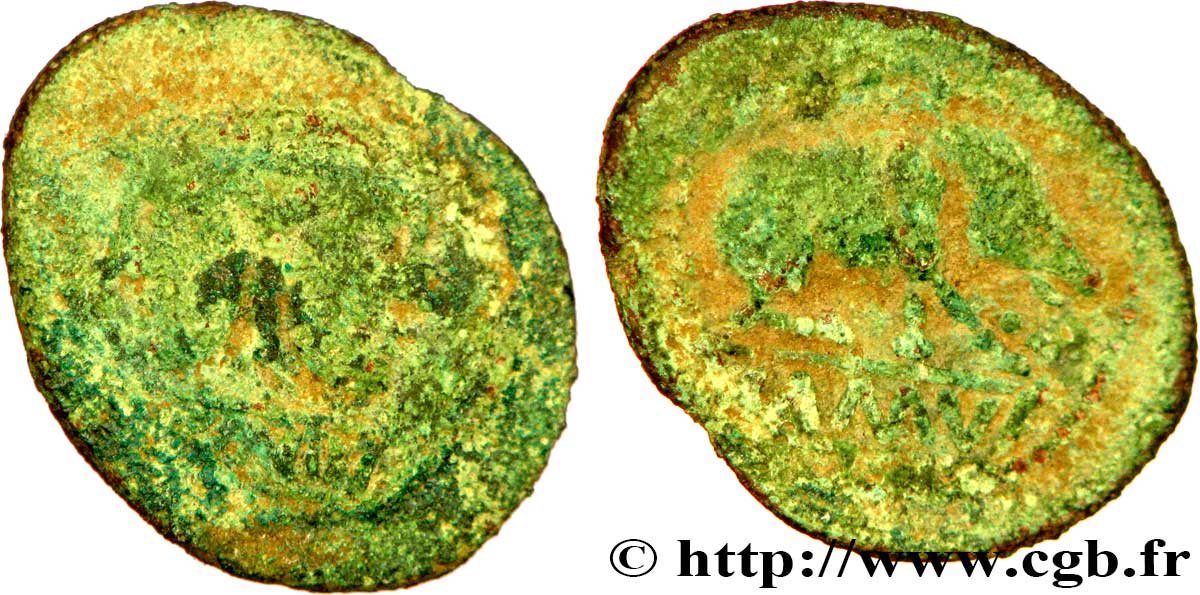 BRETAGNE - CATUVELLAUNI and TRINOVANTES Bronze à la tête janiforme et à la truie BC