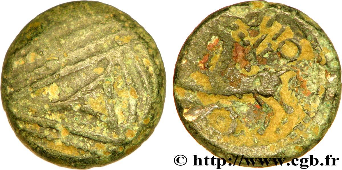 GALLIEN - BELGICA - REMI (Region die Reims) Statère de bronze à l œil fSS