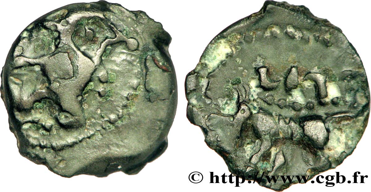 CARNUTES (Région de la Beauce) Bronze au loup, tête à droite TB+