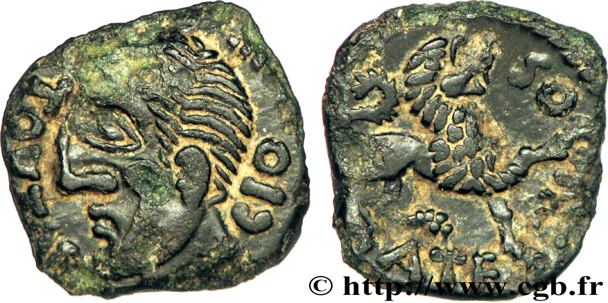 GALLIA - CARNUTES, UNSPECIFIED Bronze TOVTOBOCIO ATEPILOS AU
