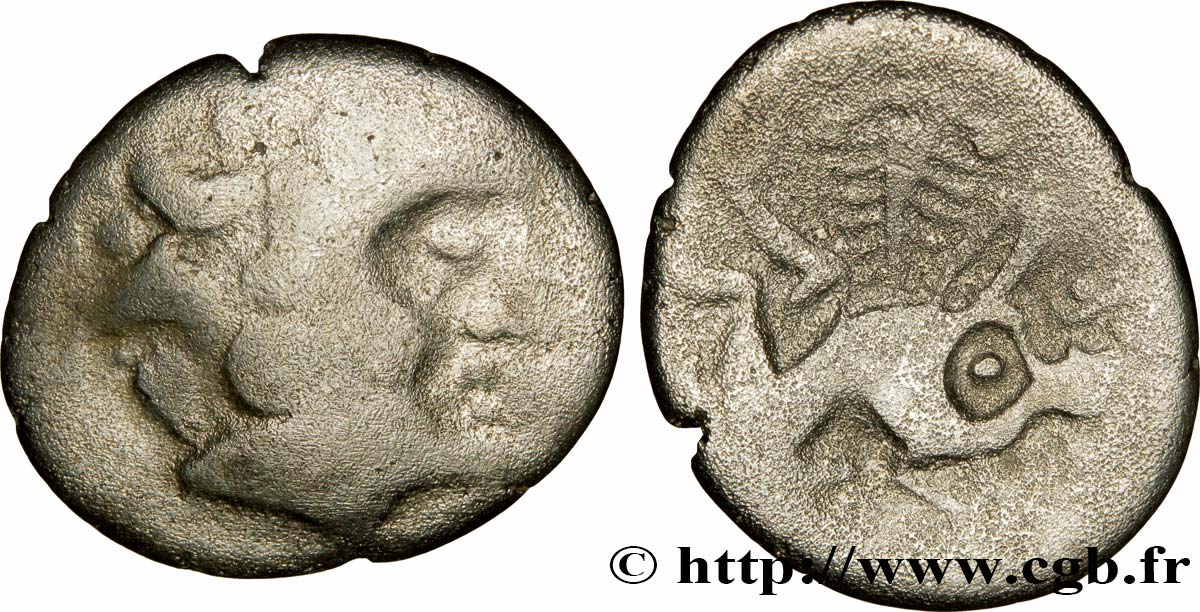 GALLIA - SOUTH WESTERN GAUL - PETROCORII (Area of Perigueux) Drachme au sanglier, tête à droite / sanglier à droite VF/XF