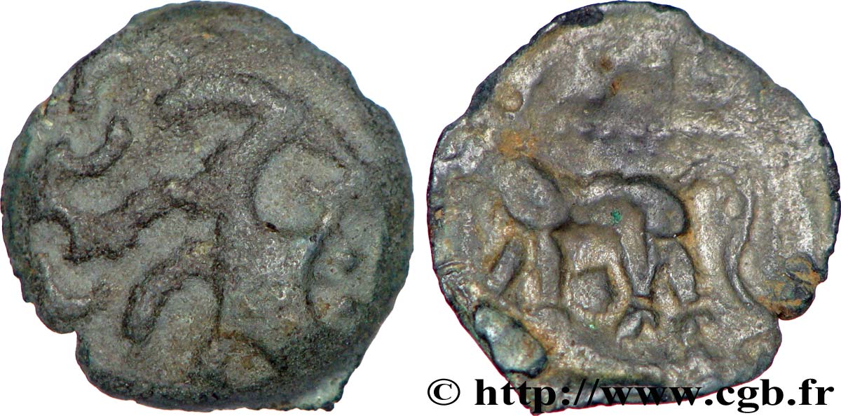 CARNUTES (Région de la Beauce) Bronze au loup, tête à droite TB+