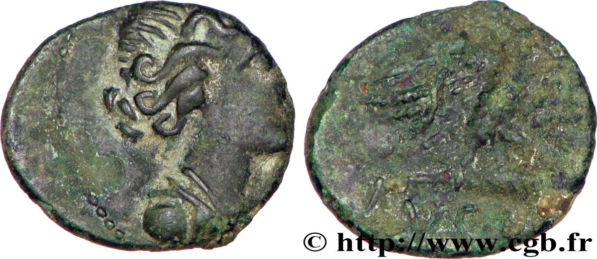GALLIEN - SÜDWESTGALLIEN - VOLCÆ ARECOMICI (Region die Nîmes) Bronze AR / VOLC, à l aigle fVZ/S