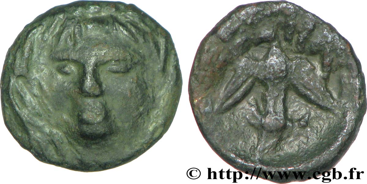 SEGUSIAVI / ÆDUI, Inciertas (Región de Feurs (Forez) / Mont-Beuvray) Bronze SECISV à la tête de face MBC