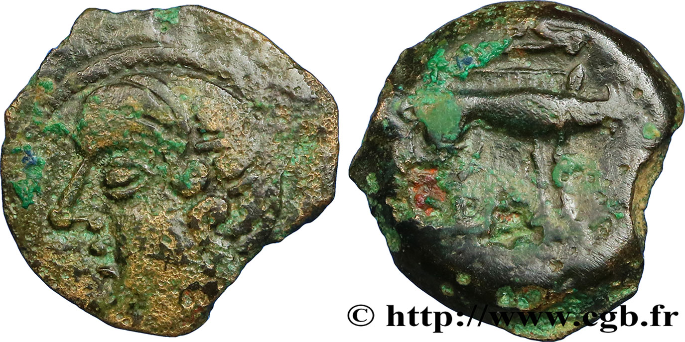 BITURIGES CUBI / MITTELWESTGALLIEN - UNBEKANNT Bronze au sanglier et à la fibule fSS