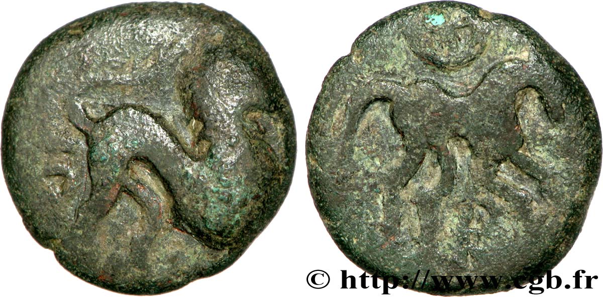 GALLIA BELGICA - NERVII (Belgica) Bronze VERCIO/VERCIO q.BB