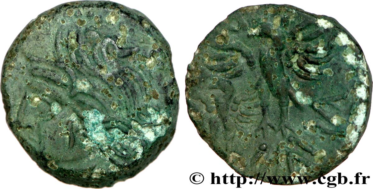 GALLIEN - BITURIGES CUBI (Region die Bourges) Bronze CALIAGIID à l’aiglon fVZ