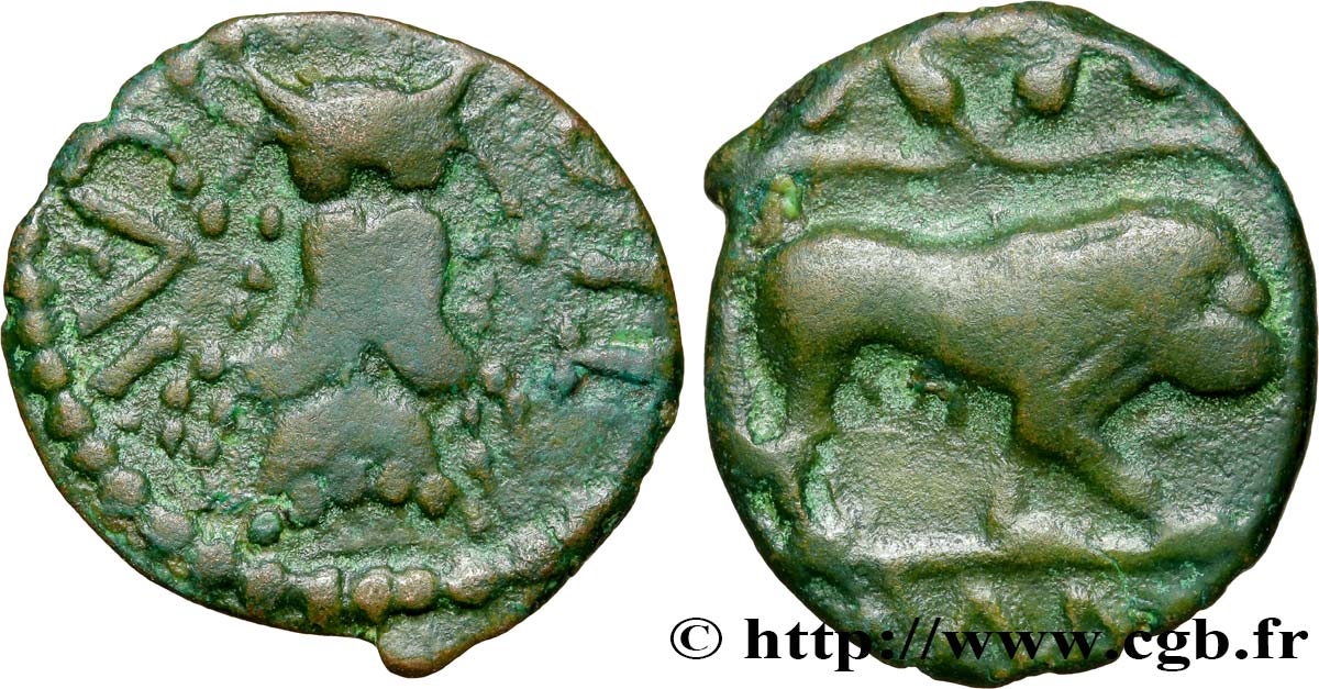 ATRÉBATES (Région d Arras) Bronze CAITIO/AMANDI TTB+