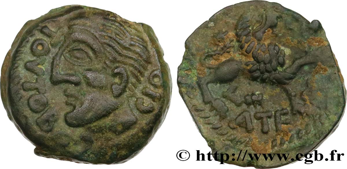 GALLIA - CARNUTES (Regione della Beauce) Bronze TOVTOBOCIO ATEPILOS q.SPL