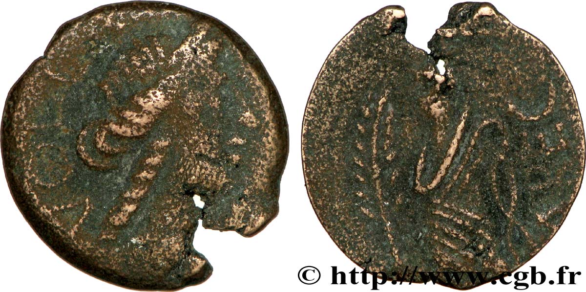 GALLIEN - SÜDWESTGALLIEN - VOLCÆ ARECOMICI (Region die Nîmes) Bronze au Démos, VOLCAE AREC S/fSS