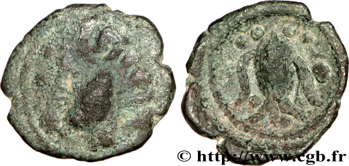 GALLIA BELGICA - AMBIANI (Regione di Amiens) Bronze à la tête de face, BN. 8405 q.BB/BB