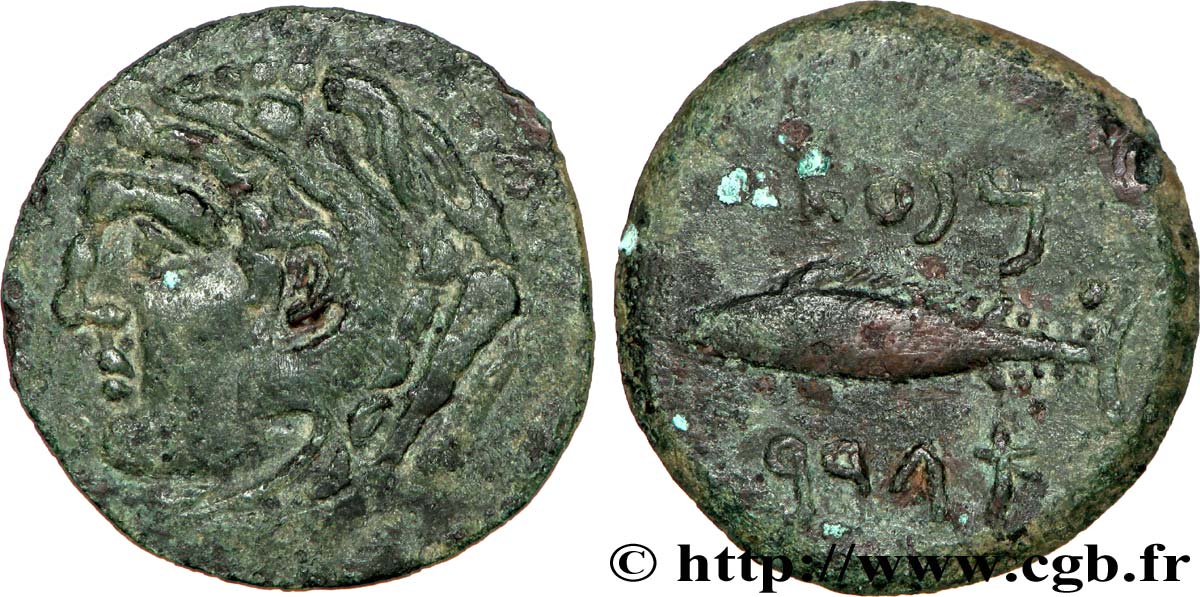 HISPANIA - GADIR/GADES (Provincia of Cadiz) Calque de bronze à la tête de Melqart et au thon MBC+