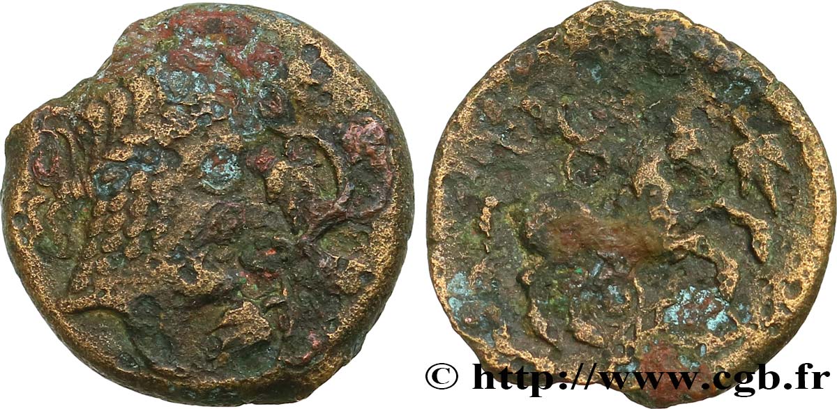 AULERQUES ÉBUROVICES (Région d Évreux) Bronze à la tête d’Apollon et à la treille de vigne TB