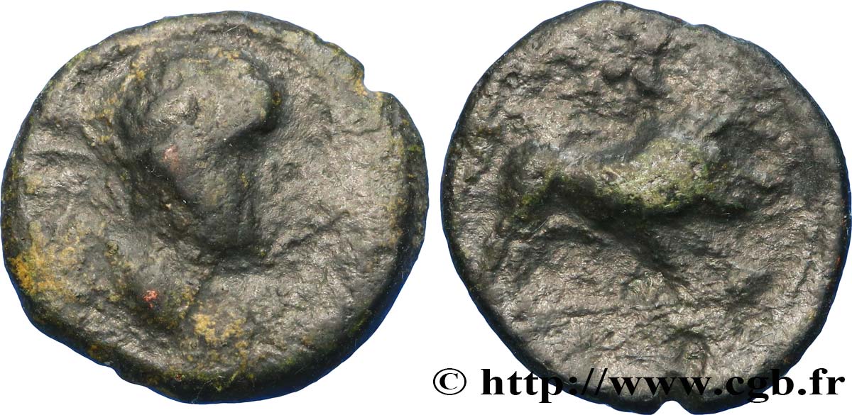 SPAGNA - IBERICO - CASTULO/KASTILO (Provincia di Jaen/Calzona) Bronze LVCCIOS au sanglier MB
