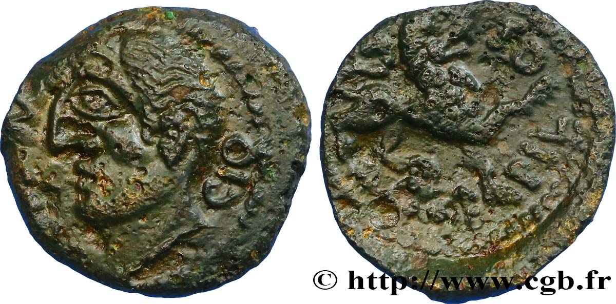 GALLIA - CARNUTES (Area of the Beauce) Bronze TOVTOBOCIO ATEPILOS AU/XF