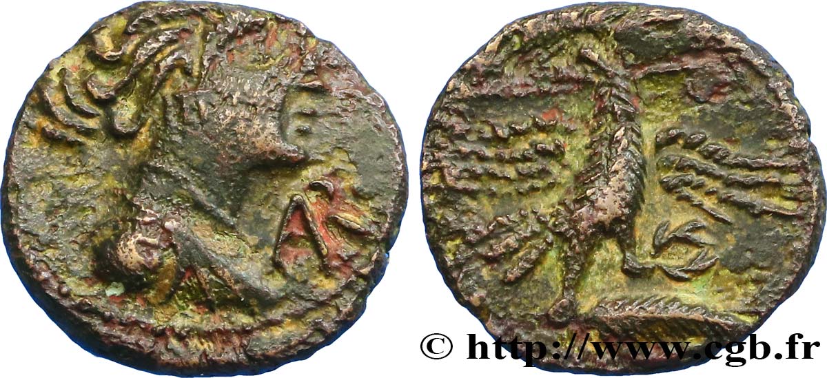 GALLIA - SUDOVESTE DE GALLIA - VOLCÆ ARECOMICI (Regione di Nima) Bronze AR / VOLC, à l aigle BB/q.SPL