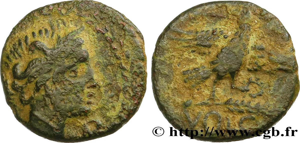 GALLIEN - SÜDWESTGALLIEN - VOLCÆ ARECOMICI (Region die Nîmes) Bronze AR / VOLC, à l aigle fSS