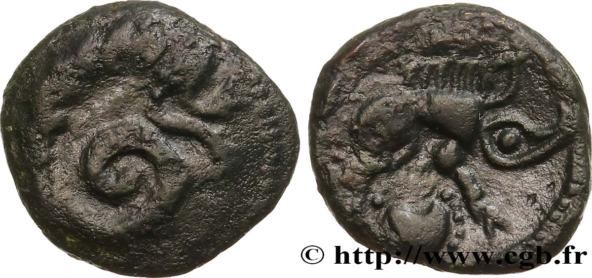 GALLIEN - CALETI (Region die Pays de Caux) Bronze au monstre enroulé SS