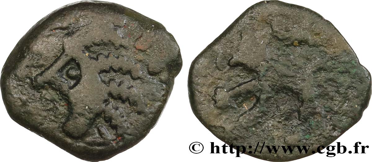 GALLIA - CARNUTES (Area of the Beauce) Bronze au loup, tête à gauche VF