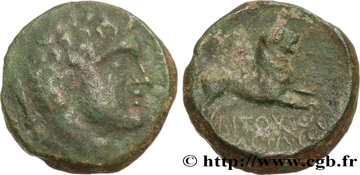 GALLIA - SOUTH WESTERN GAUL - LONGOSTALETES (Area of Narbonne) Bronze au lion VF