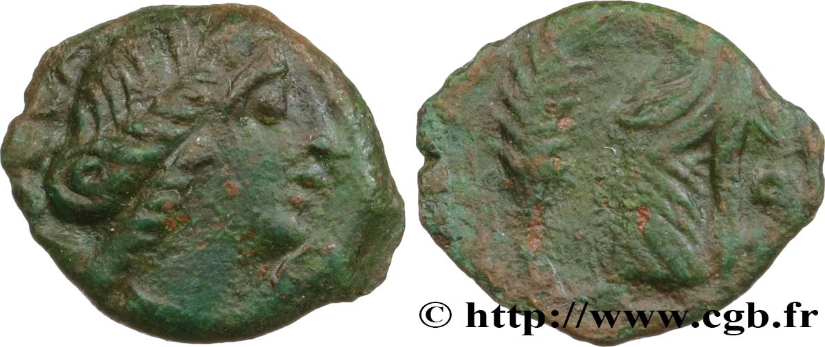VOLQUES ARÉCOMIQUES (région de Nîmes) Bronze au Démos, VOLCAE AREC TB+