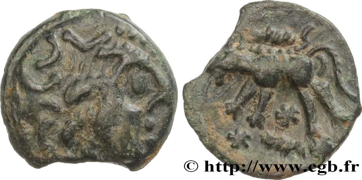 GALLIA - CARNUTES (Beauce area) Bronze au loup, tête à droite XF