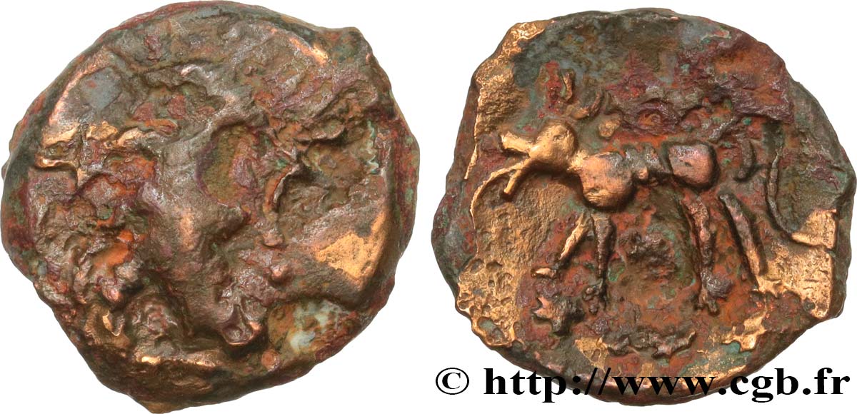 GALLIA - CARNUTES (Región de la Beauce) Bronze au loup, tête à droite BC+