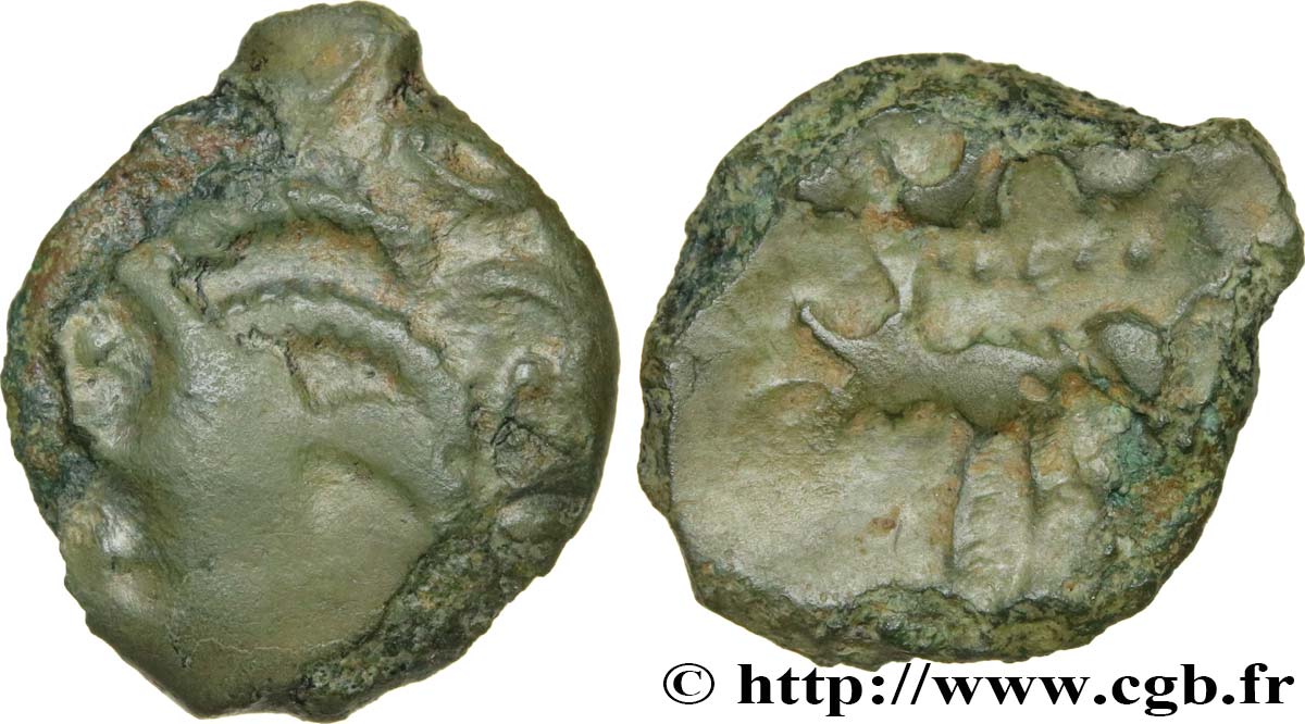 GALLIA - CARNUTES (Región de la Beauce) Bronze au loup, tête à gauche BC+