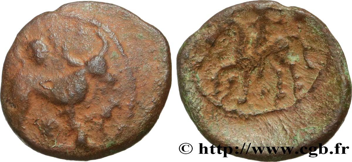 GALLIA BELGICA - AMBIANI (Región de Amiens) Bronze au taureau et au bucrane BC+
