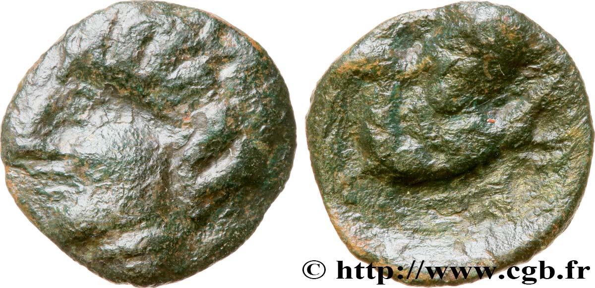 GALLIA BELGICA - AMBIANI (Región de Amiens) Bronze à la tête coupée de face BC+