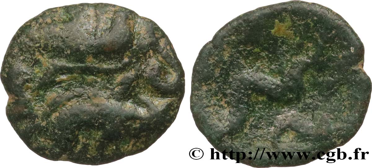 GALLIA BELGICA - AMBIANI (Región de Amiens) Bronze aux sangliers affrontés BC