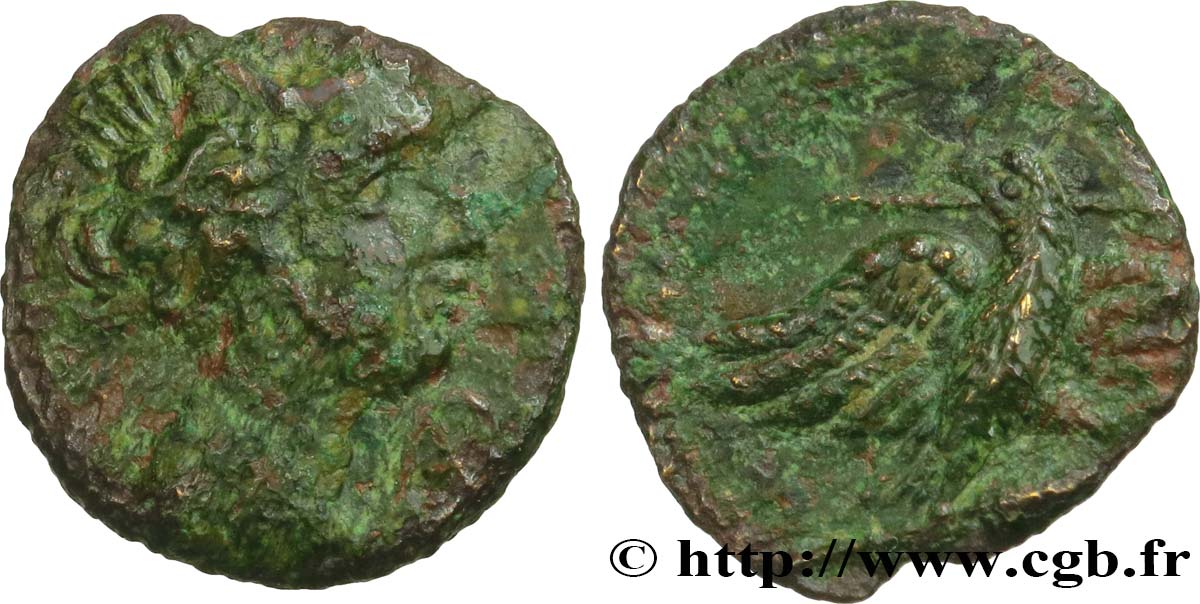 GALLIA - SUDOVESTE DE GALLIA - VOLCÆ ARECOMICI (Regione di Nima) Bronze AR / VOLC, à l aigle q.BB/BB