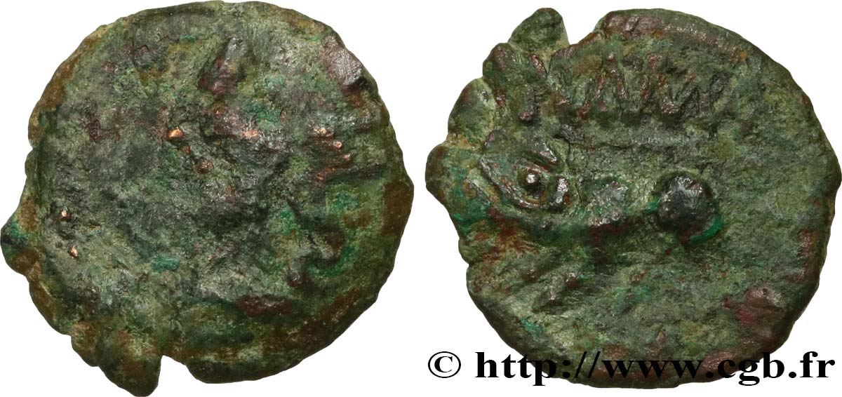 NEMAUSUS - NISMA Bronze au sanglier NAMA SAT q.MB/MB