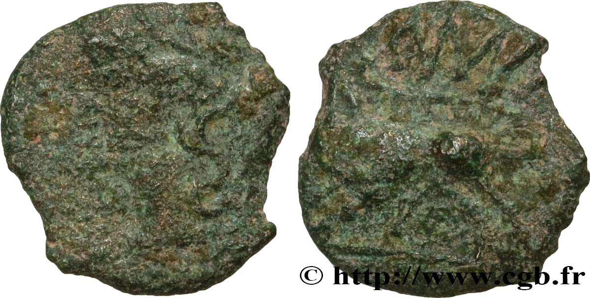 NEMAUSUS - NÎMES Bronze au sanglier NAMA SAT VG/VF