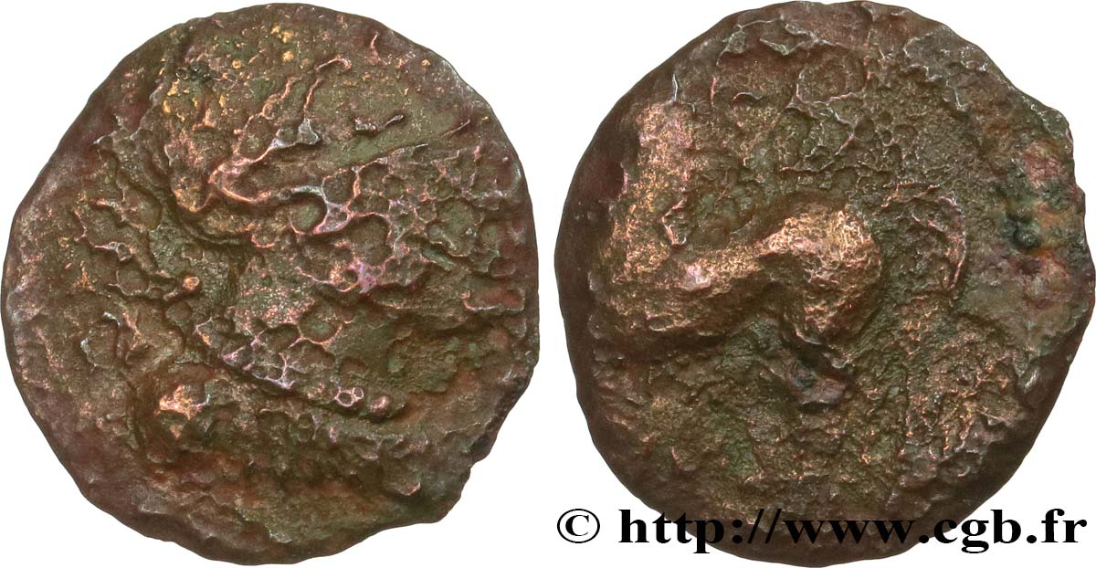 GALLIA - ARVERNI (Regione di Clermont-Ferrand) Bronze CALIIDV q.MB