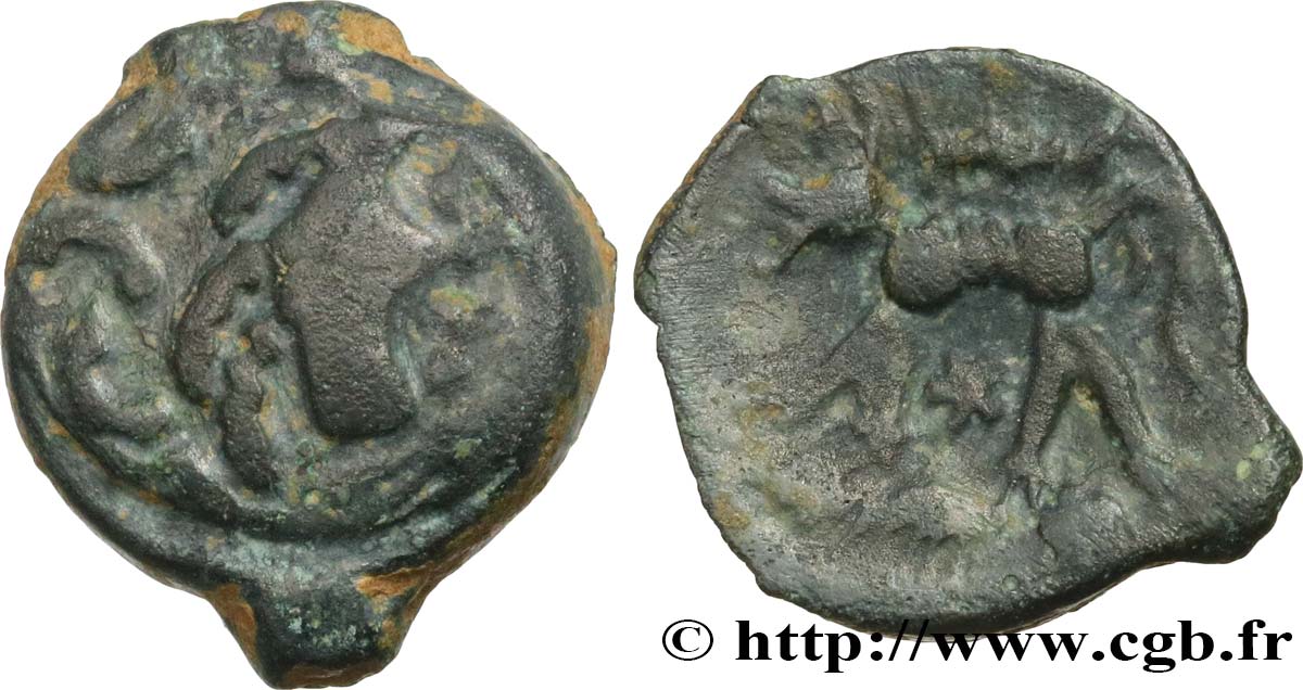 GALLIA - CARNUTES (Area of the Beauce) Bronze au loup, tête à droite XF