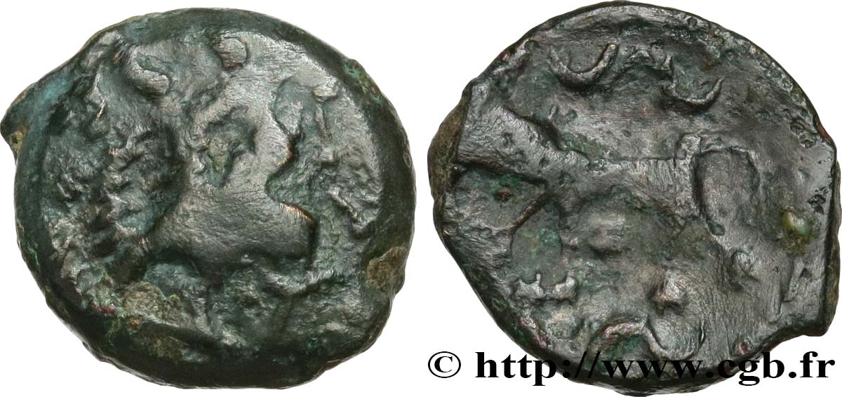 CARNUTES (Région de la Beauce) Bronze au loup, tête à droite TB
