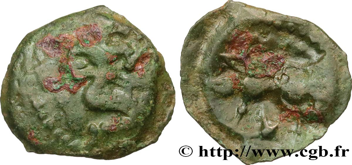 GALLIEN - BELGICA - BELLOVACI (Region die Beauvais) Bronze au personnage agenouillé et au sanglier fSS