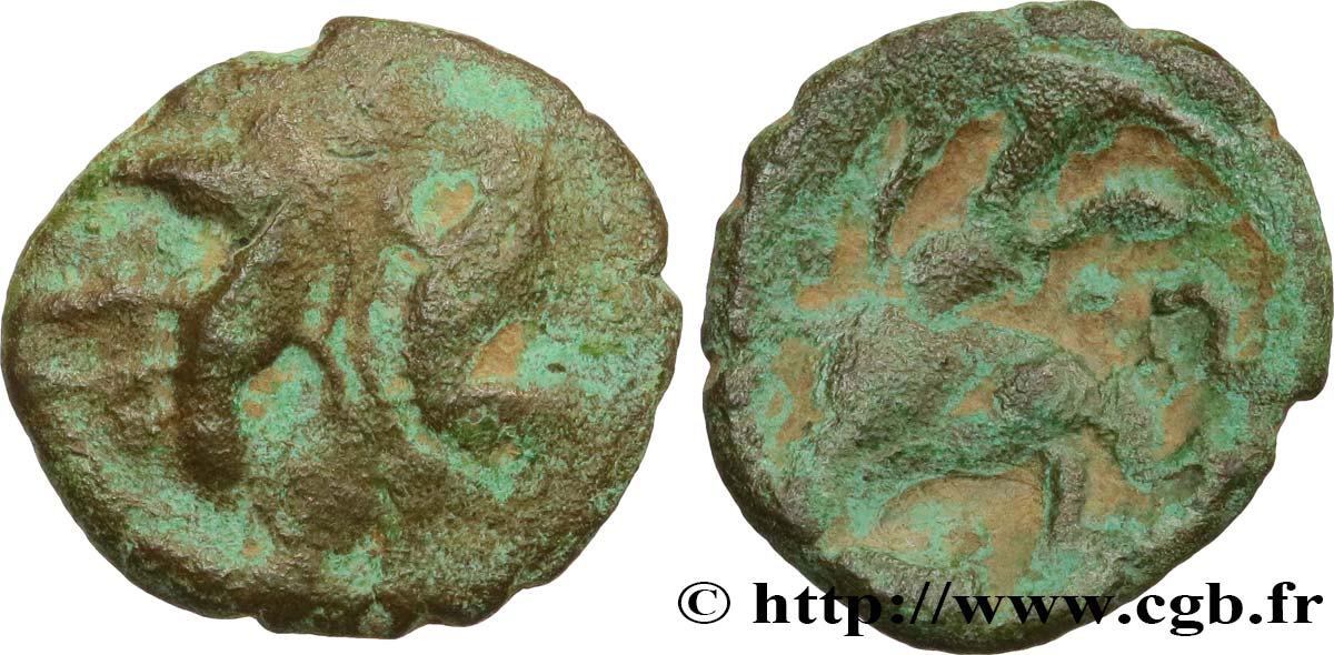 GALLIA BELGICA - AMBIANI (Area of Amiens) Bronze aux sangliers affrontés VF