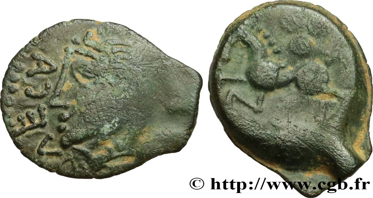 GALLIA BELGICA - MELDI (Regione di Meaux) Bronze ROVECA, classe IIIa q.BB