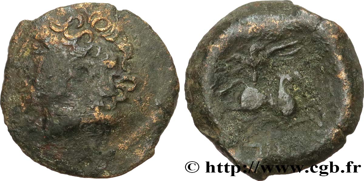 GALLIA BELGICA - MELDI (Regione di Meaux) Bronze EPENOS MB