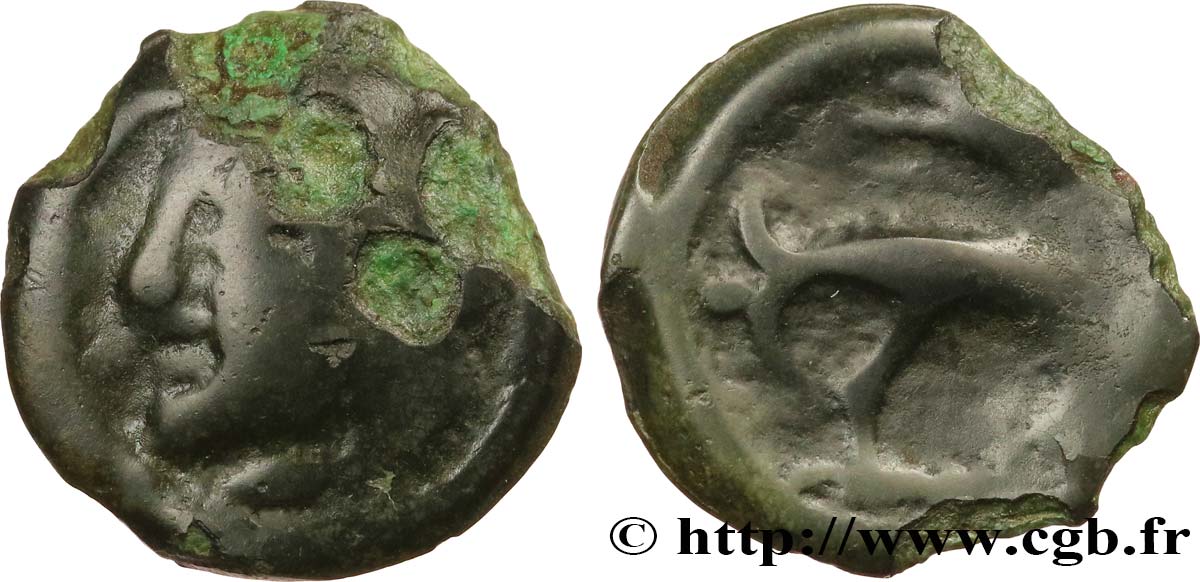 GALLIA - CARNUTES (Región de la Beauce) Bronze ou potin (?) à l’aigle et au sanglier BC