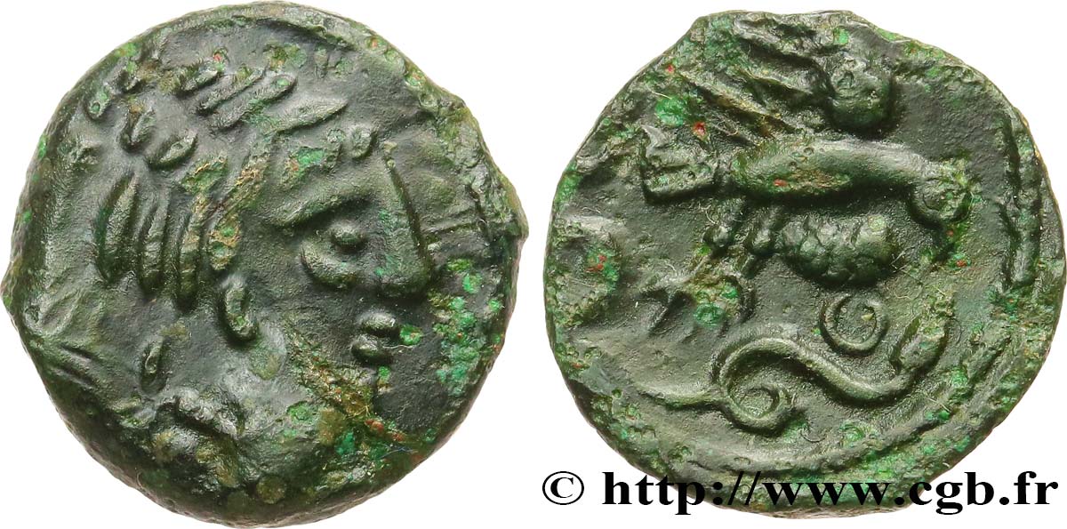 GALLIA - CARNUTES (Región de la Beauce) Bronze “à l’aigle et au serpent” BC+/MBC