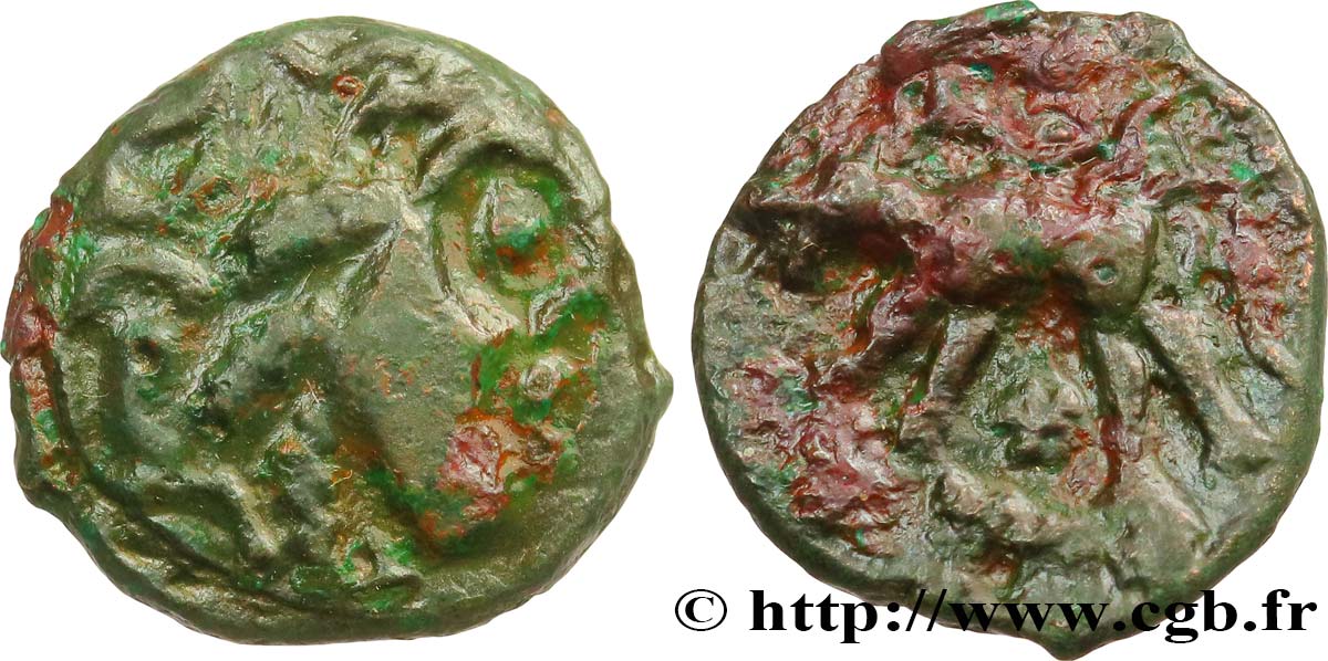 GALLIA - CARNUTES (Regione della Beauce) Bronze au loup, tête à droite q.BB