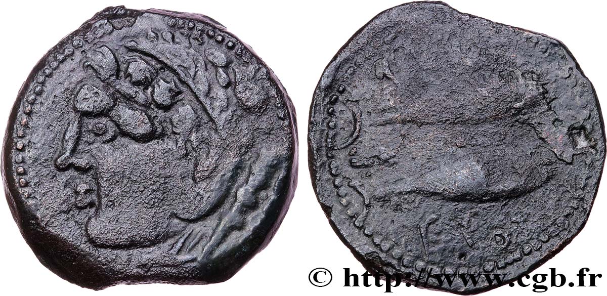 ESPAGNE - GADIR/GADES (Provincia of Cadiz) Calque de bronze à la tête de Melqart et aux poissons AU/VF