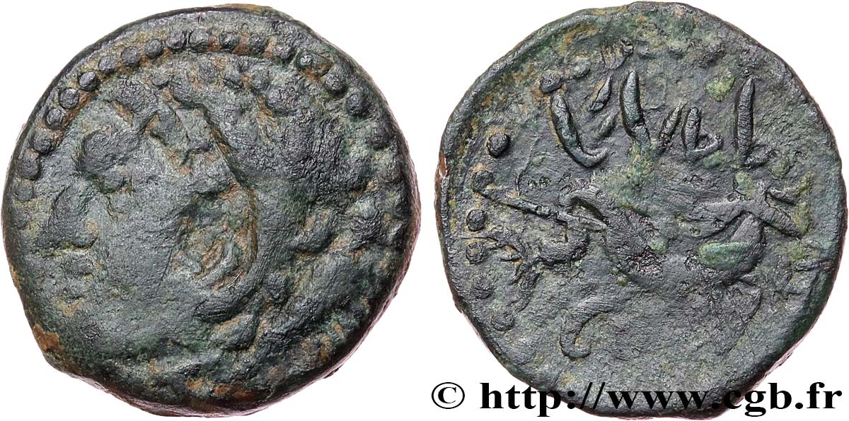 SPANIEN - GADIR/GADES (Provinz der Cadiz) Quadrans de bronze à la tête de Melqart et au dauphin SS