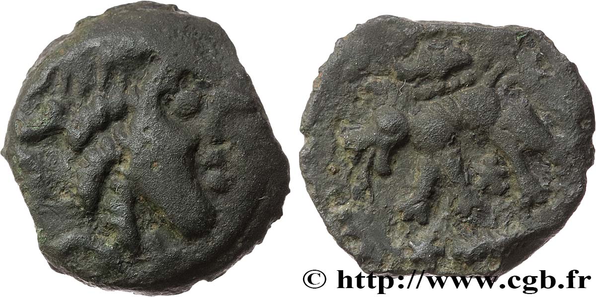 GALLIA - CARNUTES (Beauce area) Bronze au loup, tête à droite XF/AU