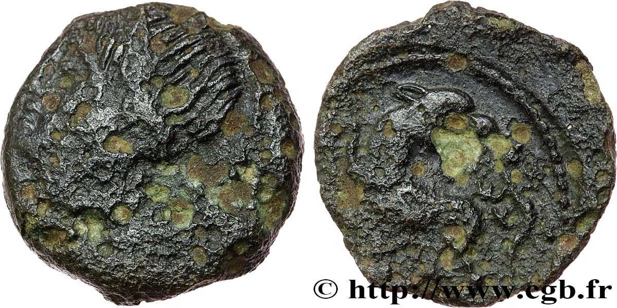GALLIA - CARNUTES (Beauce area) Bronze PIXTILOS classe II à la louve et au lézard VF