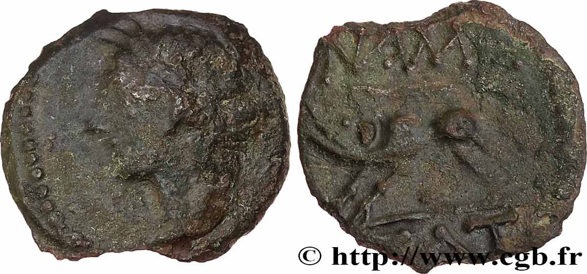 NEMAUSUS - NIMES Bronze au sanglier NAMA SAT S/fSS